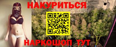 ECSTASY Новодвинск