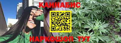 дмт Новозыбков