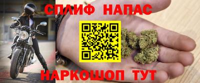 дмт Новозыбков