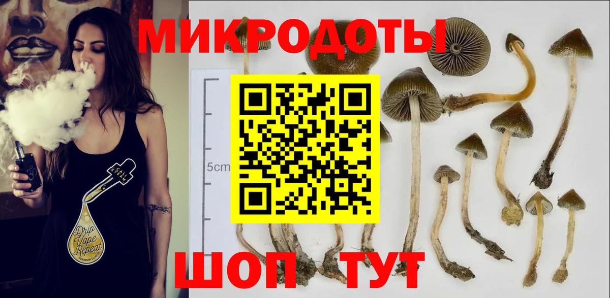 Галлюциногенные грибы мицелий Северск