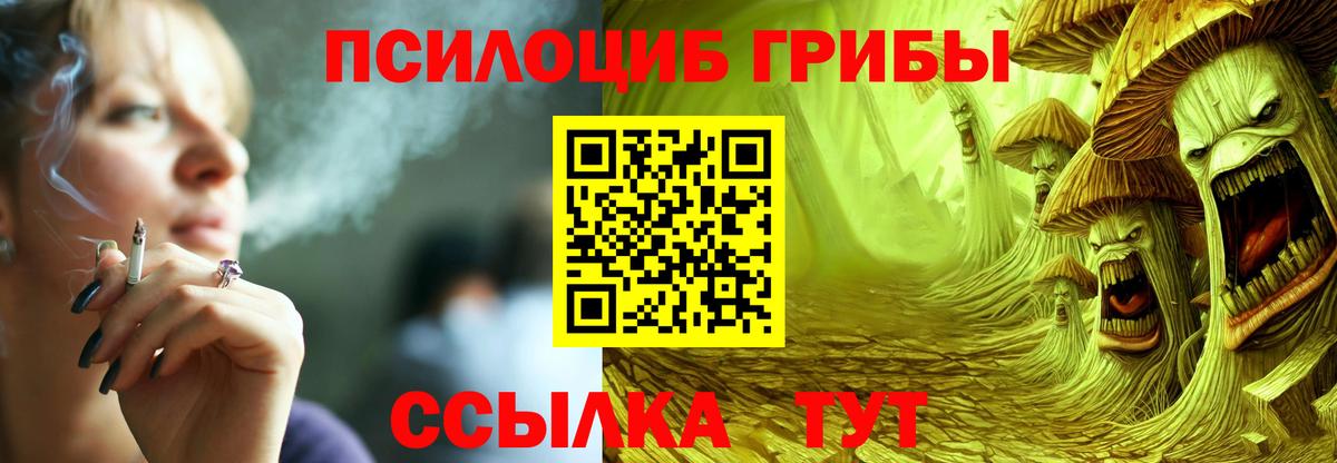 Галлюциногенные грибы прущие грибы  Вход с VPN  Северск 